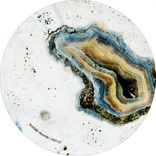 Artwork for "Aquatic Dancer"