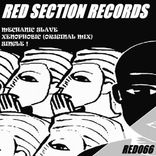 Artwork voor "Xenophobic"