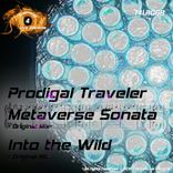 Artwork voor "Metaverse Sonata / Into The Wild"