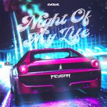 Artwork for "NIGHT OF MY LIFE"