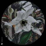 Time to Grow (Extended Mix)