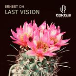 Artwork for "Last Vision"