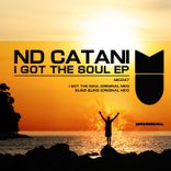 Artwork for "I Got the Soul"