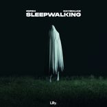 Artwork voor "Sleepwalking"