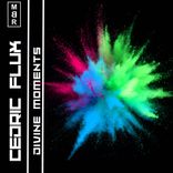 Artwork for "Divine Moments"