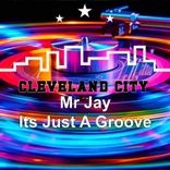 Portada para "Its Just a Groove"