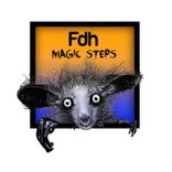 Artwork für "Magic Steps"