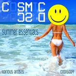 Portada para "Summer Essentials"