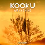 Artwork for "Awakening"