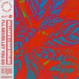 Artwork für "I'll Never Let You Go"