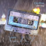 Portada para "Like You"