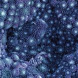 Artwork voor "Incremental"