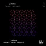 Portada para "Intensification"