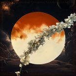 Portada para "Lost Ways"