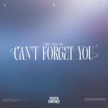Can't Forget You