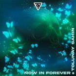 Artwork for "Now in Forever"