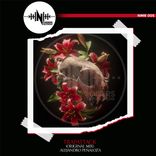 Artwork für "Trapattack"