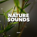 Artwork voor "Nature Sounds 2024"