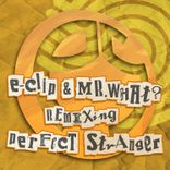 Artwork for "Perfect Stranger (Remixes)"