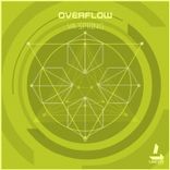 Portada para "Overflow"