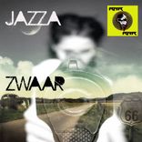 Portada para "Zwaar"