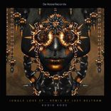 Artwork für "Jungle Love"