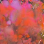 Artwork for "The Dress With Pockets"