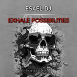 Portada para "Exhale Possibilities"
