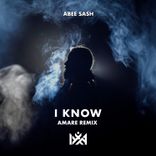 Artwork für "I Know (Amare Remix)"