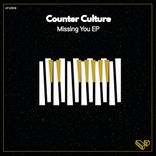 Vaiafi - P&P (Counter Culture Remix)