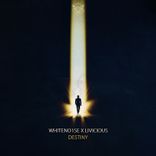Artwork for "Destiny"