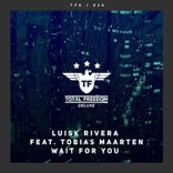 Artwork voor "Wait for You"