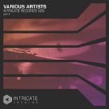 Artwork for "Intricate Records 500, Pt. 2"