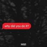 Artwork for "why did you do it?"