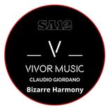 Artwork for "Bizarre Harmony"