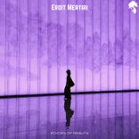 Artwork for "Echoes of Reality"