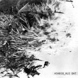 Artwork for "ASK018"