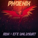 Artwork für "Phoenix"