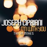 Artwork for "I'm with You (The Remixes)"