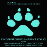Artwork für "Underground Imprint Vol.VI"