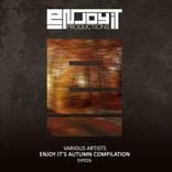 Artwork voor "Enjoy It's Autumn Compilation"