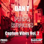 Artwork für "Captum Vibes Vol. 2"