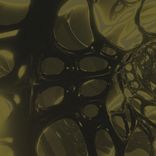 Artwork voor "The World Over"