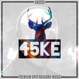 Artwork for "Long Chicken"