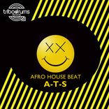 Artwork for "Afro House Beat"