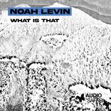 Artwork for "What Is That"