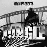 Artwork for "Analog Jungle"