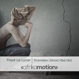 Artwork for "Shameless"