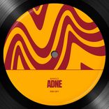 Portada para "Bangzz"