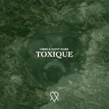 Artwork voor "Toxique"